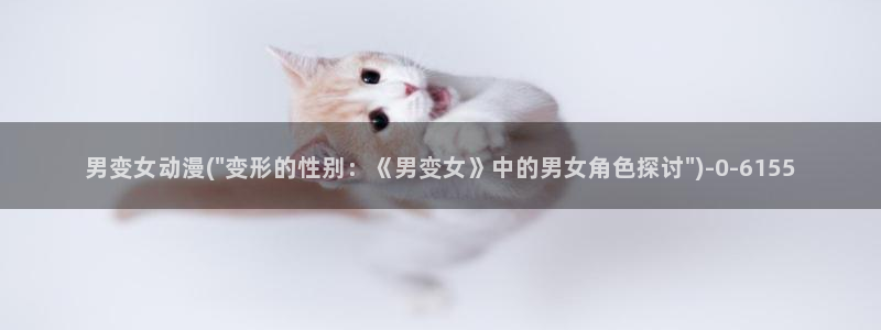 age动漫