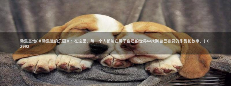 哔哩哔哩动漫：动漫基地(《动漫迷的乐园》：在这里，每一个人都能在属于自己的世界中找到自己喜爱的作品和
