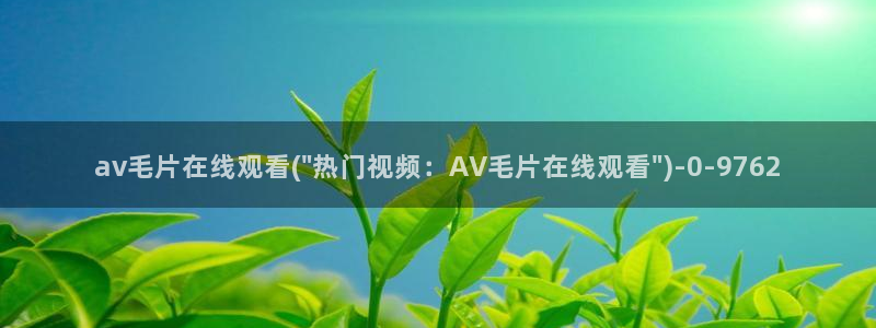 av视频播放器