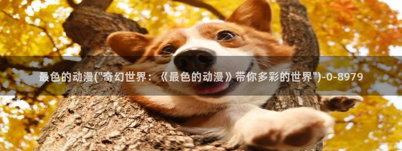 最新动漫