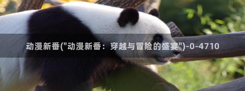 动漫花园
